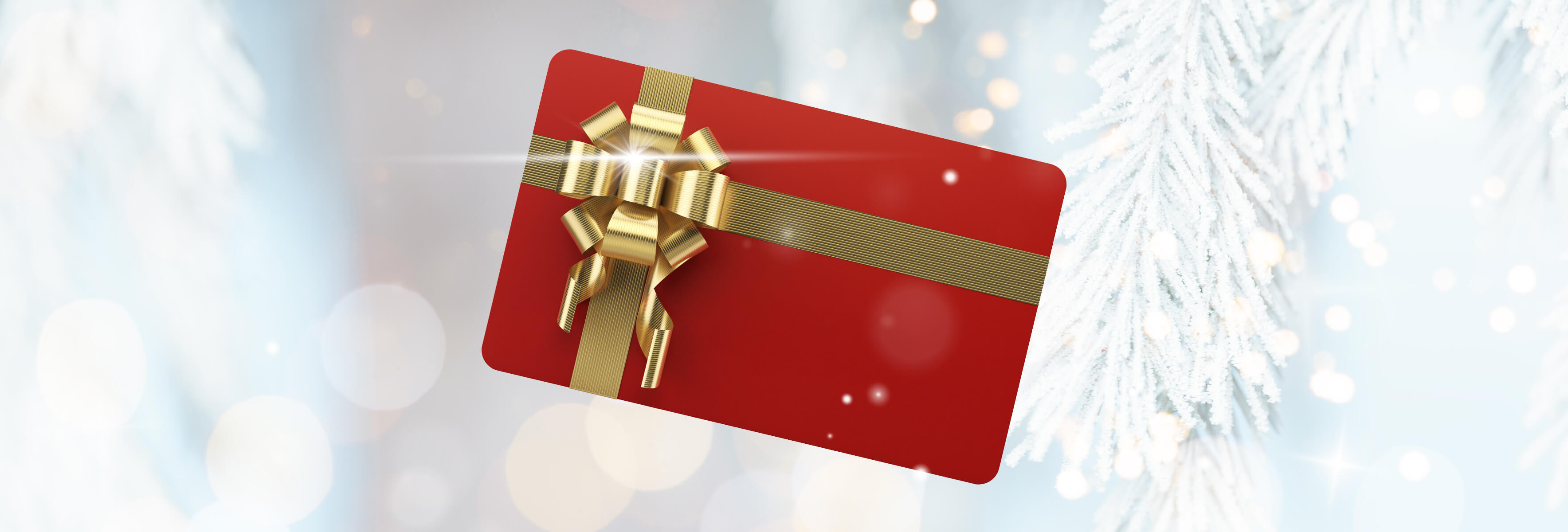 A picture of a wrapped gift card.