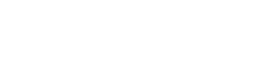 Visa<sup>®</sup> logo.