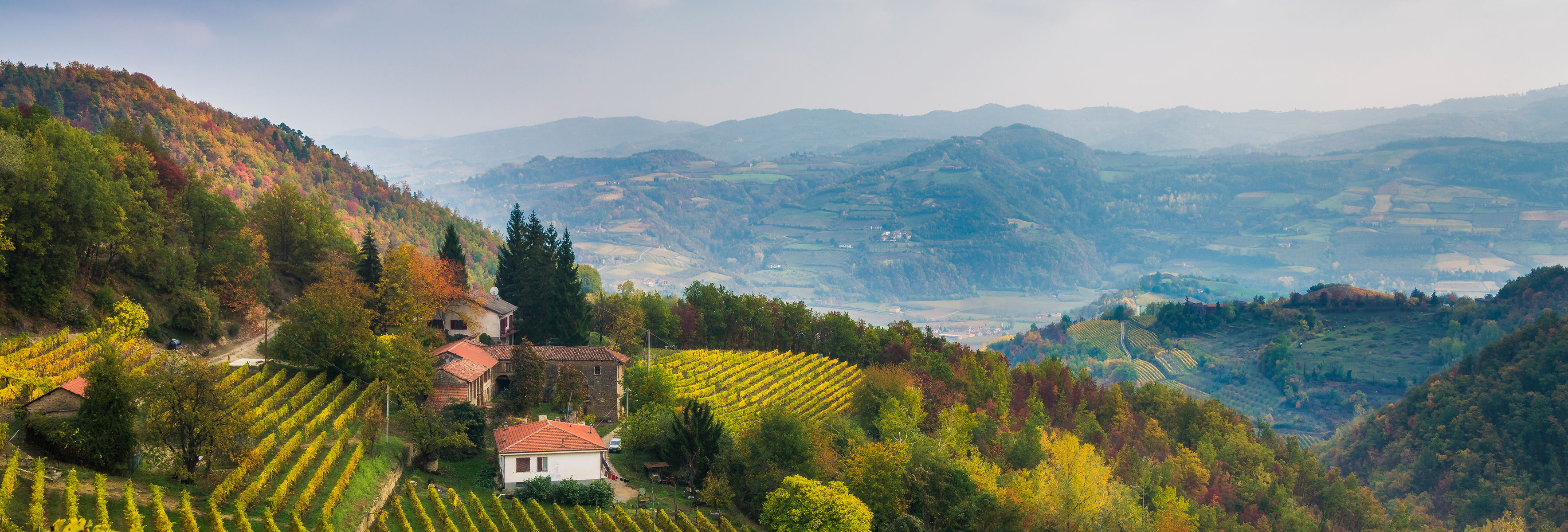 Rolling hills with vineyards and scattered houses in autumn colors under a hazy sky.